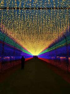 彩燈花燈,彩燈制作,彩燈廠家直銷,燈展燈會,彩燈亮化,彩車制作